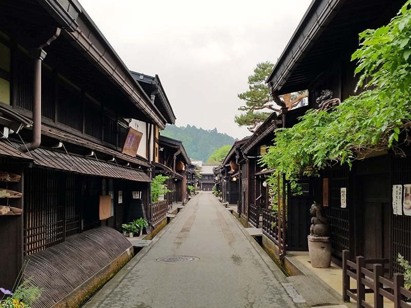800x600 day tours