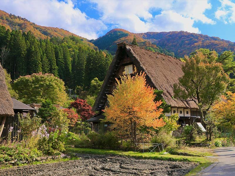 800x600 gokayama