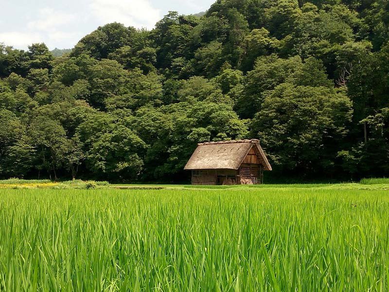 800x600 shirakawago