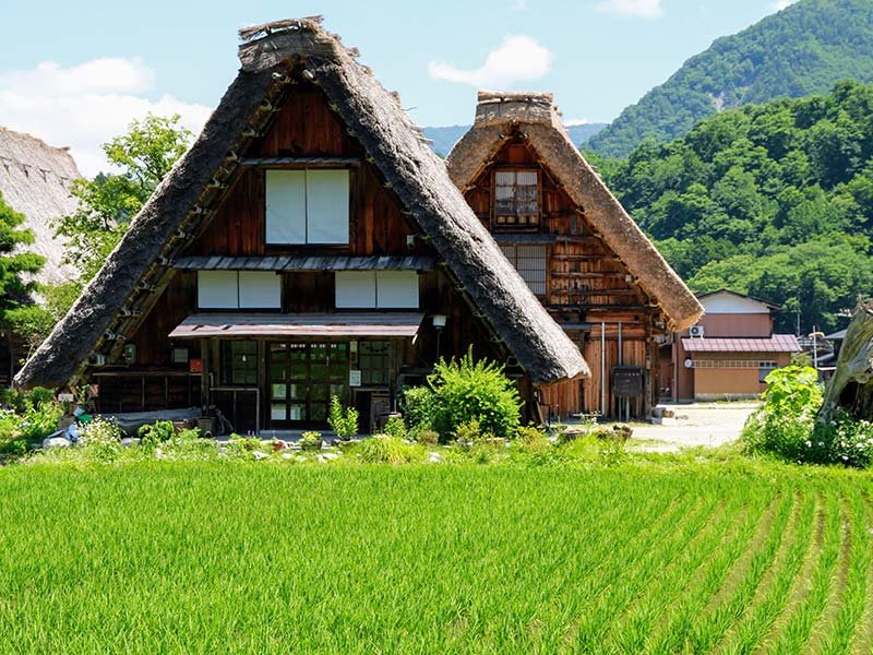 800x600 shirakawago_DT